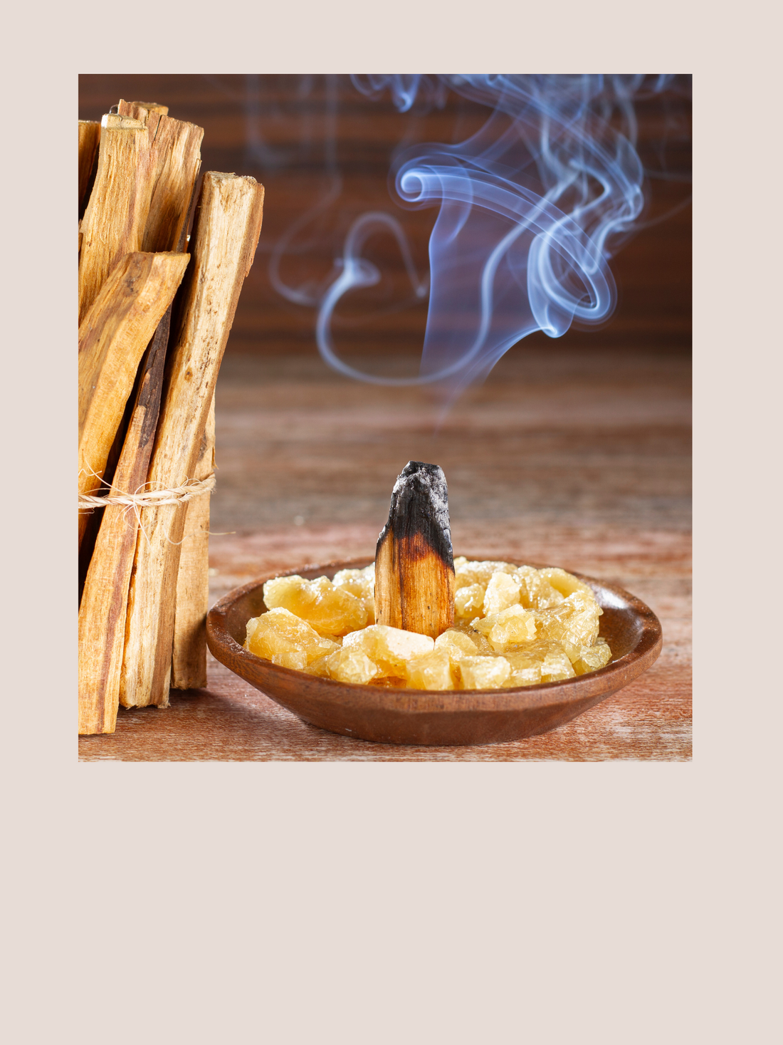 The Wonderful Benefits of Palo Santo ( Holy Wood)